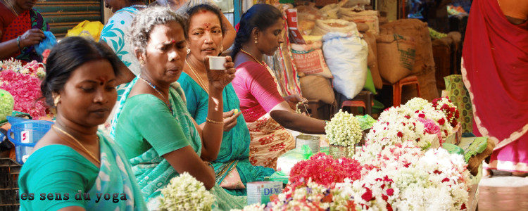 Voyage du 18 février au 3 mars 2017 au Tamil Nadu