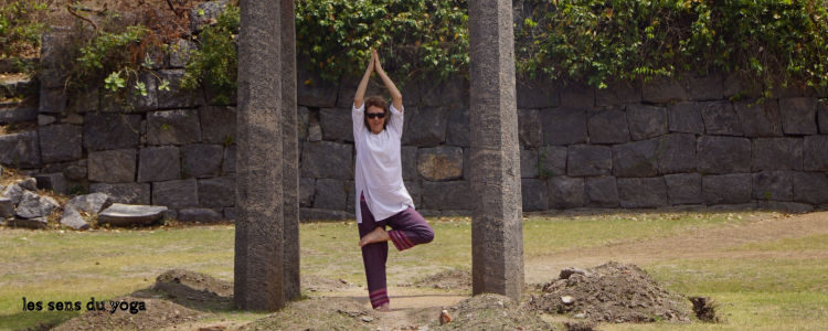 Etude de posture : Vrksasana, l’arbre